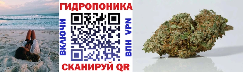 Бошки Шишки VHQ  Нелидово 